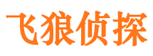 河西市私人调查